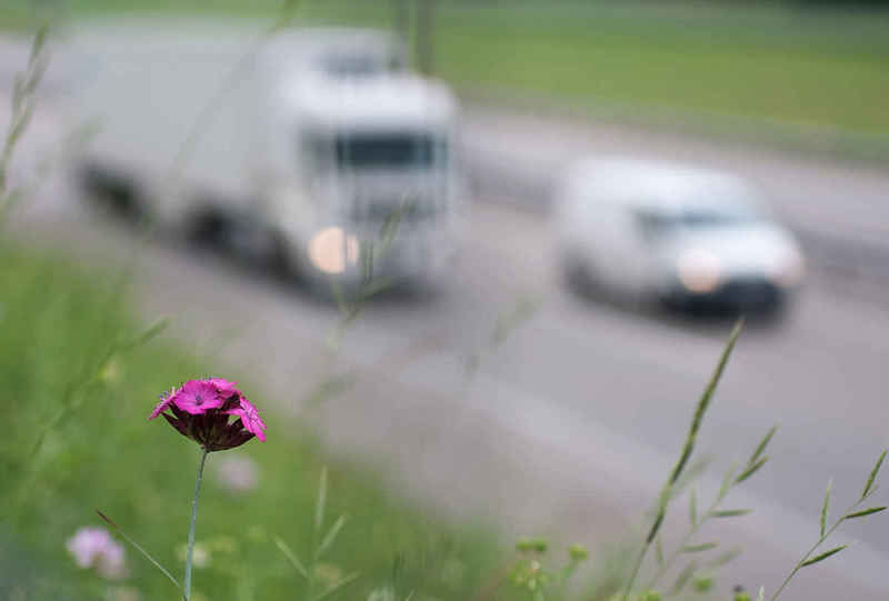 Respect environnement Norme EURO 6 pollution camion