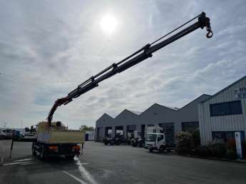 Camion porteur DAF LF 220